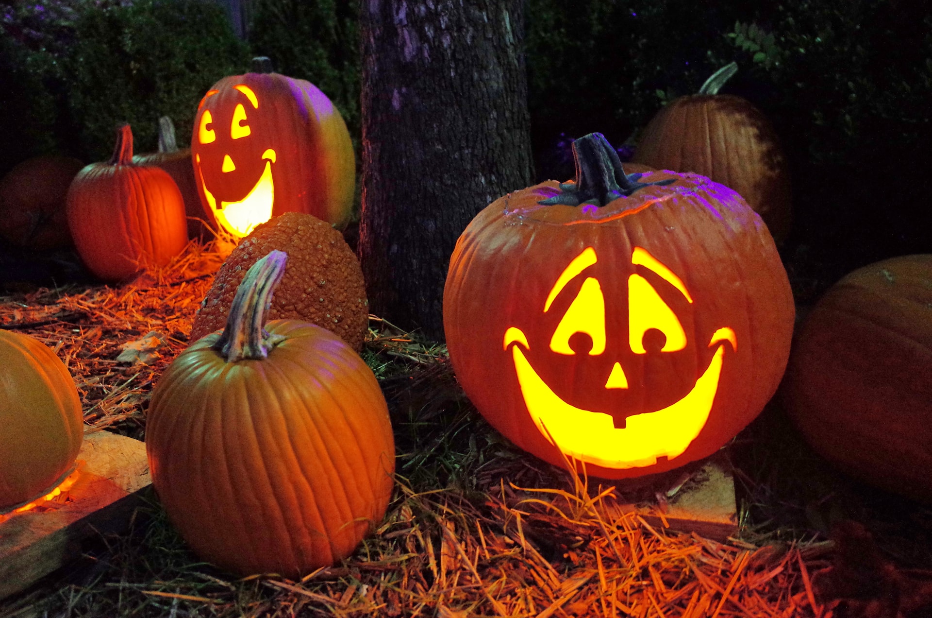 weed-leaf-stencil-pumpkin